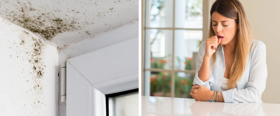 Pathologie du bâtiment — moisissures et impact sur la santé respiratoire